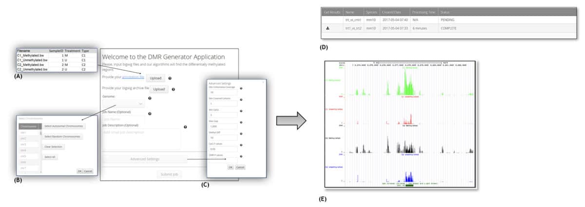 DMR Generator Tool