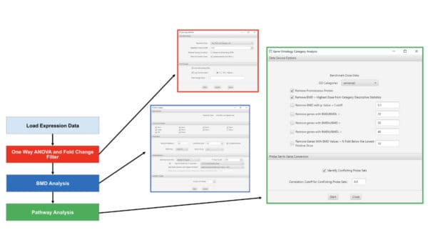 BMDExpress Basic Workflow